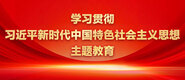 日骚皮真爽学习贯彻习近平新时代中国特色社会主义思想主题教育_fororder_ad-371X160(2)